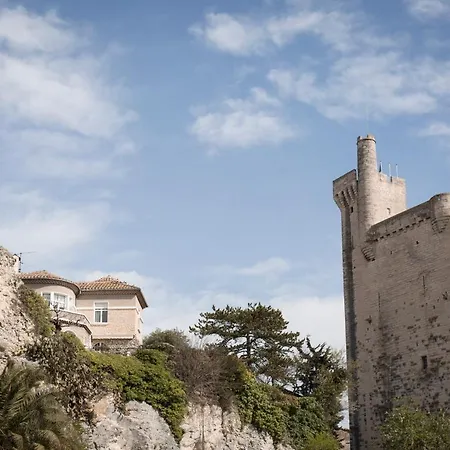 Zenao Villeneuve-les-Avignon